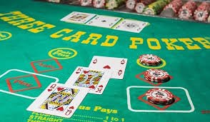 76p11 bet 76p11 bet
